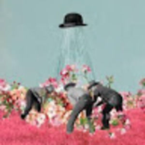 Meet your Posher, Sam